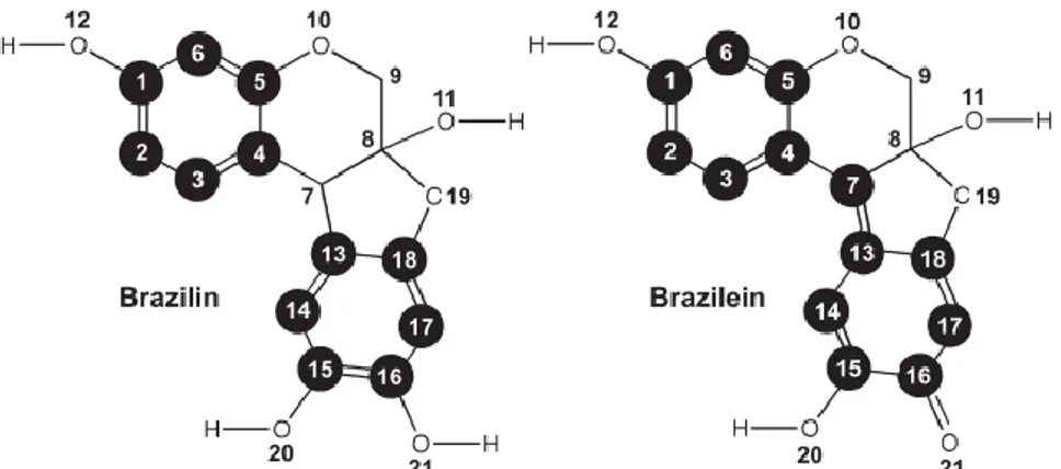 Gambar 1. Struktur kimia brazilin (A) dan brazilien (B) (Ohama and Yumpat, 2014)  Ekstraksi  kayu  secang  yang  pernah  dilakukan  oleh 