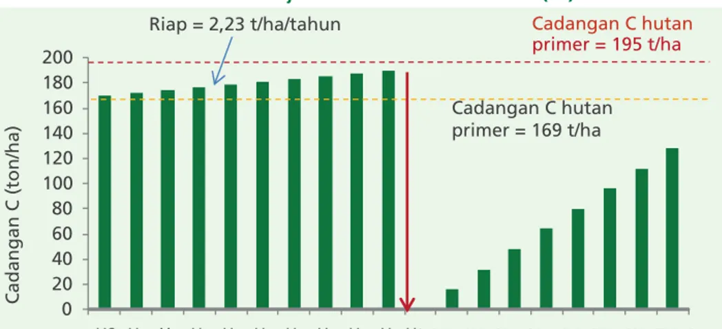 Gambar 3 .  Konsep perhitungan riap karbon pada hutan sekunder (Hs) dengan  cadangan C 169 t/ha dan riap 2.3 ton C/(ha 