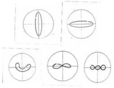 Gambar 9. Pola Lissajous pads rotary machine yang