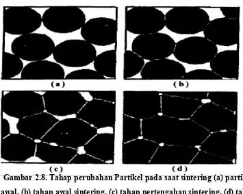 Gambar 2.8. Tahap perubahan Partikel pada saat sintering (a) partikel 