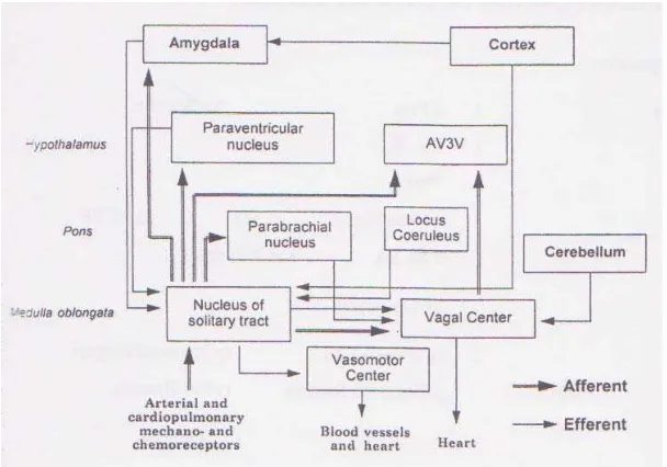 Gambar 4. Dikutip dari: Kuntzer T, Waeber B, 1996. Peripheral nerve, muscle, and autonomic changes