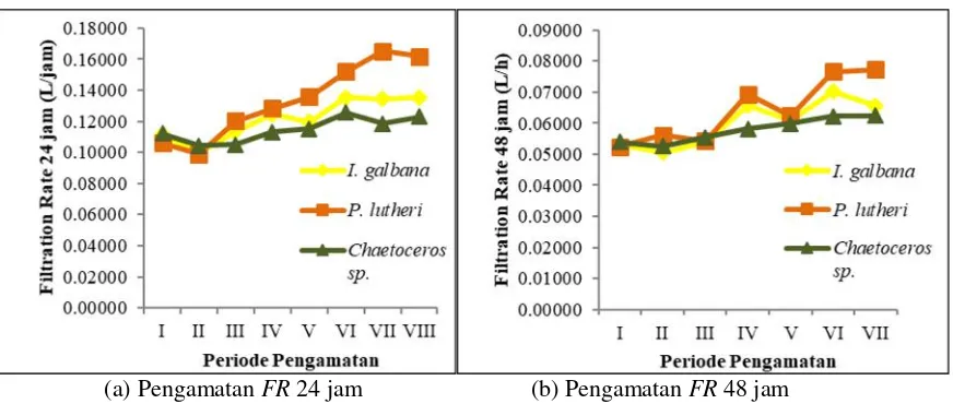 Gambar 3. Kecepatan total filtrasi spat kerang mutiara spat kerang mutiara (P. maxima).