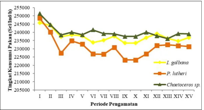 Gambar 5. Pola dari aktivitas makan spat kerang mutiara (P. maxima) setiap periode pengamatan.