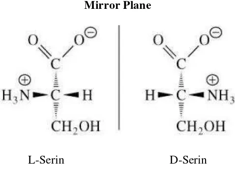 Gambar 4. Struktur dasar asam amino 