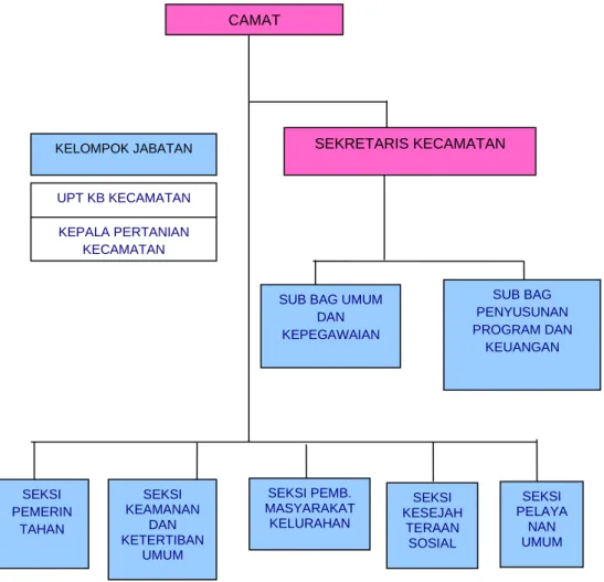 Gambar 1.1 Struktur Organisasi Kecamatan Muara Bangkahulu    