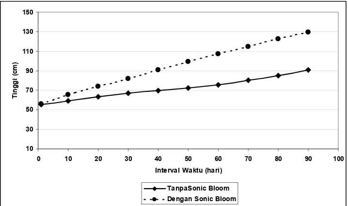 Gambar 2. Grafik pertumbuhan tinggi bibit Acacia mangium Willd 