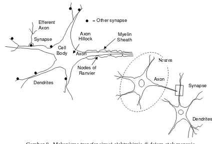 Gambar 8   Mekanisme transfer sinyal elektrokimia di dalam otak manusia 