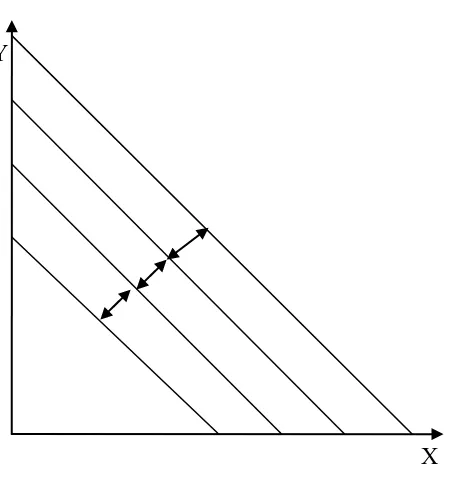 Gambar 2.7. Kurva Constant Return to Scale ( Sumber: Mikro ekonomi, Noor Azis : 2003) 