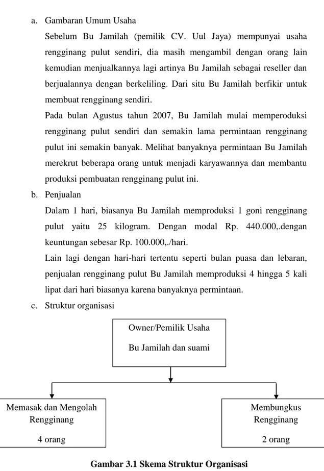 Gambar 3.1 Skema Struktur Organisasi Owner/Pemilik Usaha 