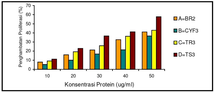 Gambar 25. Aktivitas penghambatan proliferasi (%) fraksi protein bioaktif dari tanaman lapang terhadap galur sel K-562 : A