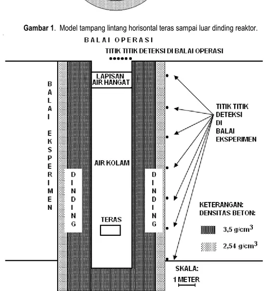 Gambar 2 . Model tampang lintang vertikal reaktor dan titik-titik deteksi.