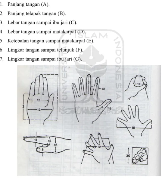 Gambar 2.2 Anthropometri Tangan  Laboratorium APK &amp; E Universitas Islam Indonesia 
