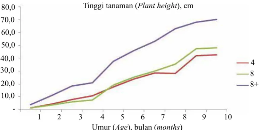Gambar 3.   Rerata tinggi tanaman pada umur 1-10 BSP pada perlakuan batang bawah (The 