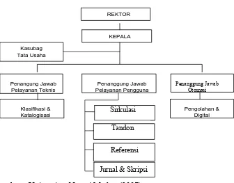 Gambar 4.1 Struktur Organisasi  Perpustakaan Universitas Negeri Medan  