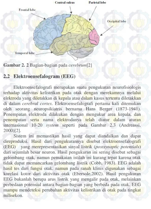 Gambar 2. 2 Bagian-bagian pada cerebrum[2]  2.2  Elektroensefalogram (EEG)  