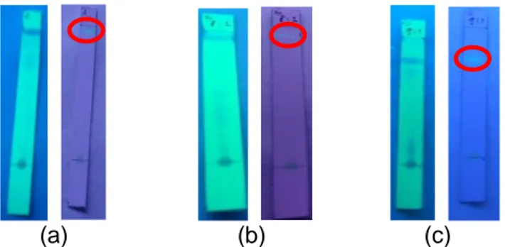 Gambar 1. Hasil KLT yang Disinari Lampu UV Kiri (254 nm) dan Kanan (366 nm) dengan  Perbandingan n-Heksana:EtOAC (a) 1:1, (b) 8:2, (c) 9:1 
