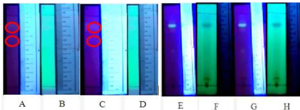 Gambar  1.  Profil  KLT  analitik,  meggunakan  fase  diam  silika  gel  60,  eluen  BAA  (4:1:5),  jarak  elusi  8  cm
