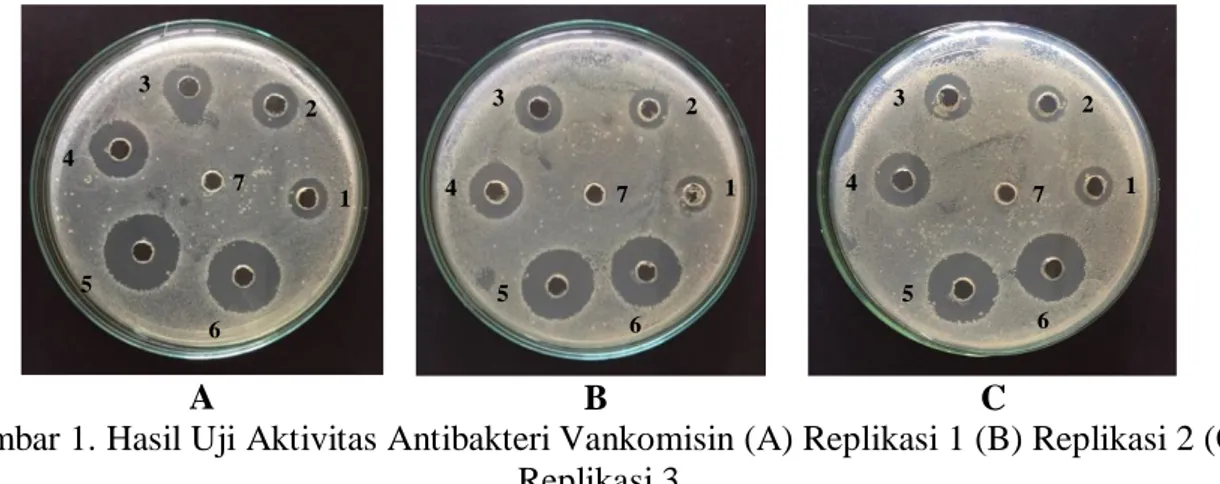 Gambar 1. Hasil Uji Aktivitas Antibakteri Vankomisin (A) Replikasi 1 (B) Replikasi 2 (C)  Replikasi 3  Keterangan:   1