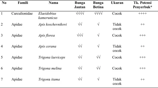 Tabel 3. Jenis-jenis serangga penyerbuk dan tingkat potensinya sebagai penyerbuk bunga kelapa sawit 