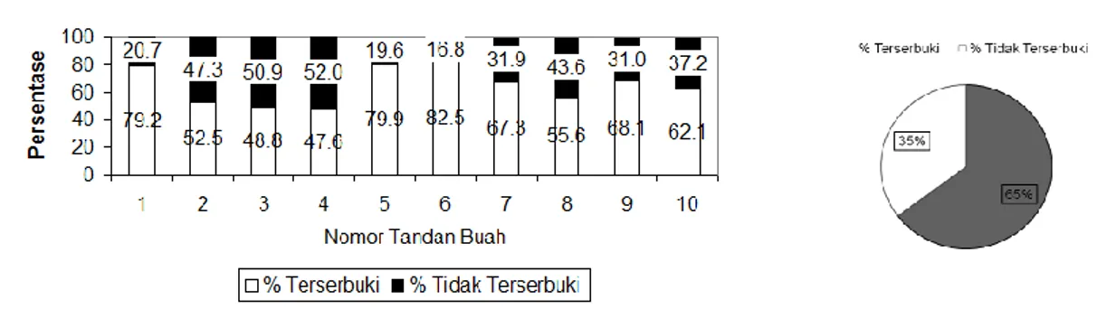 Gambar 1. Per sentase fruit set pada 10 tandan buah (kiri) dan akumulasinya (kanan)  kumbang,  termasuk  berkembangnya  satu  generasi  kumbang  E