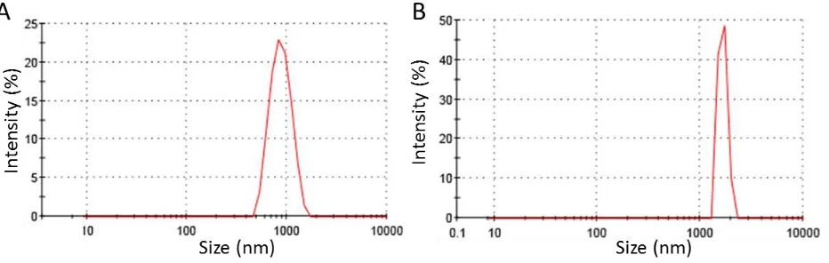 Fig. 3 Particle size distribution for (A) lowland and (B) Agamplateu area 