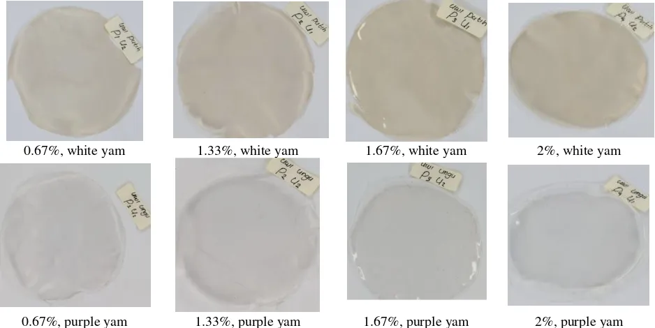 Figure 1. Yam Starch Edible Film Produced Using Different Concentration of Starch 
