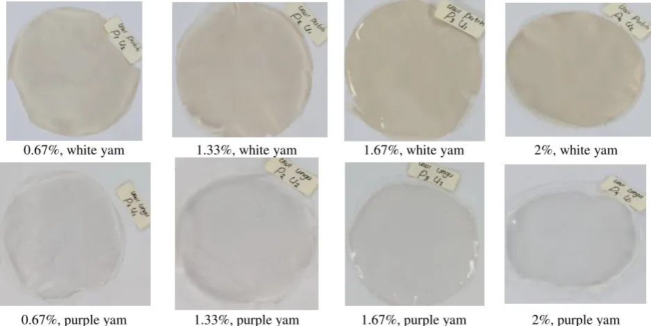 Figure 1. Yam Starch Edible Film Produced Using Different Concentration of Starch 