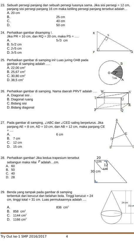 gambar di samping adalah ….
