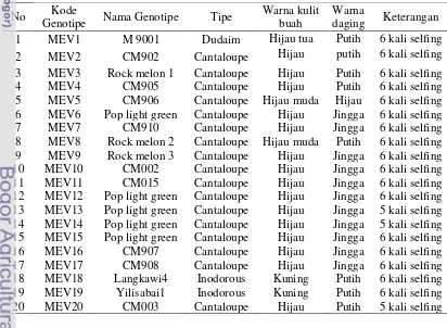 Tabel 2.  Genotipe melon bahan penelitian 