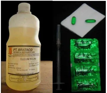 Gambar 3 : Alat   Bedah                              Gambar 4 : Castrol Oil dan Vitamin E 