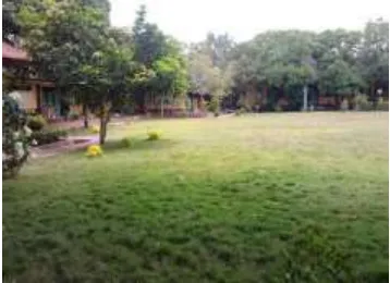 Gambar 2. Kebun sekolah 