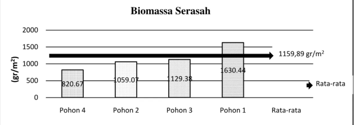 Gambar 4. Grafik biomassa serasah (Graph litter biomass)  Faktor  penyebab  jumlah  serasah 