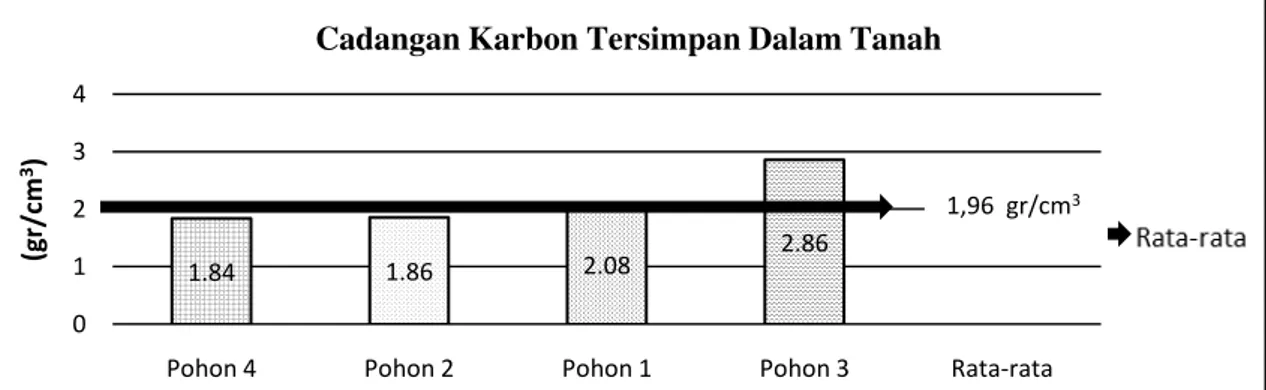Gambar 10. Grafik cadangan karbon tersimpan dalam tanah (Graph carbon stocks  