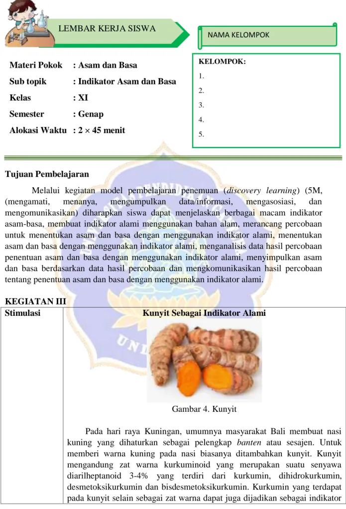 Gambar 4. Kunyit 