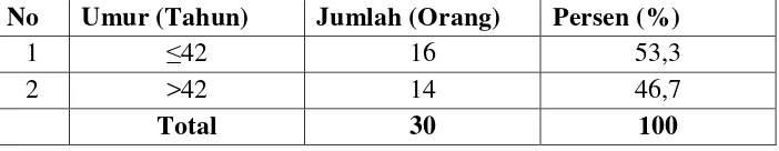 Tabel 4.1.  Distribusi Responden Pembuat Tas di Jalan Bajak V Kecamatan Medan Amplas Berdasarkan Umur pada tahun 2013