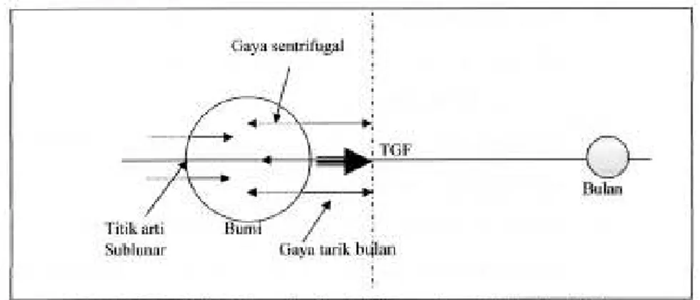 Gambar 1. Distribusi Gaya Pembangkit Pasang Surut Sistem Bumi Bulan  (Sumber : Triatmodjo, 1999) 