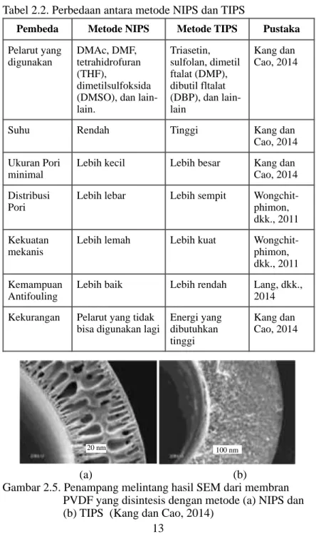 Tabel 2.2. Perbedaan antara metode NIPS dan TIPS  !! !! !! !! (a)  (b) 