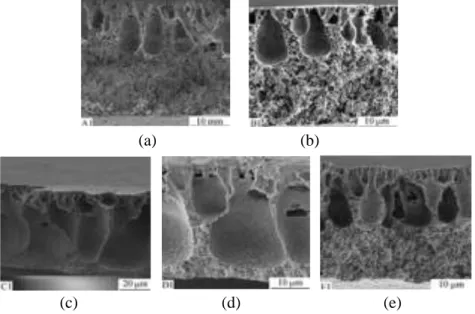 Gambar 2.13. Penampang melintang hasil karakterisasi SEM dari  membran  PVDF  dengan  pelarut  DMAc  dengan  penambahan (a) PEG 200, (b) PEG 1000, (c) PEG  6000, (d) PEG 10000, dan (e) PEG 20000