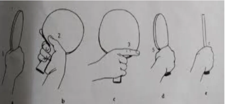 Gambar 2.1.Teknik Shakehand Grip  