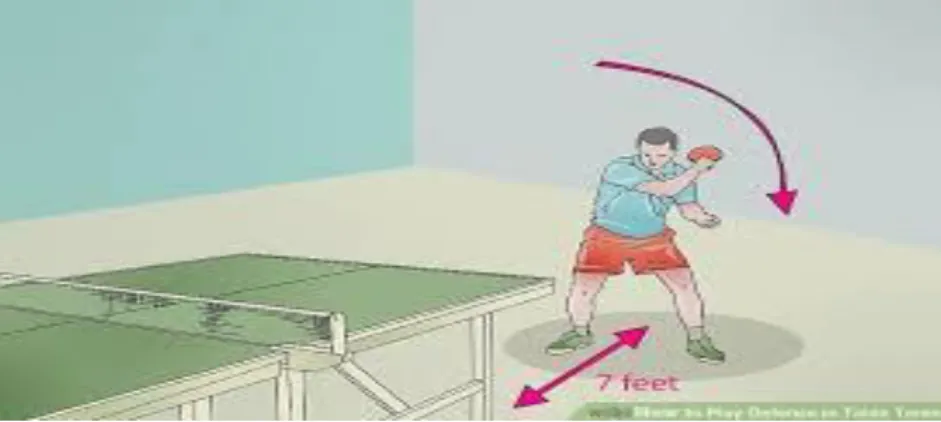 Gambar 2.3. Teknik Posisi Bermain (Stance) 