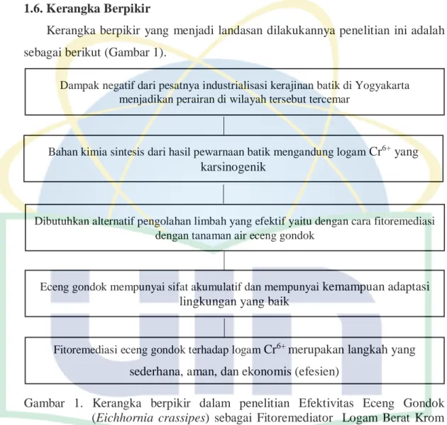 Gambar  1.  Kerangka  berpikir  dalam  penelitian  Efektivitas  Eceng  Gondok  (Eichhornia  crassipes)  sebagai  Fitoremediator    Logam  Berat  Krom  Heksavalen (Cr 6+ ) pada Limbah Cair Industri Batik di Yogyakarta Bahan kimia sintesis dari hasil pewarna