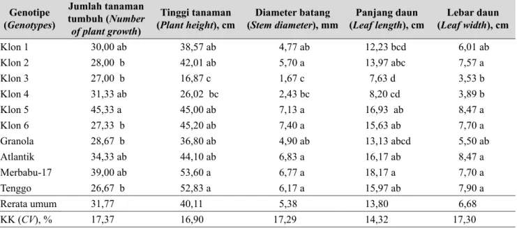 Gambar 6.   Keragaan pertumbuhan klon 5 (5), klon 6 (6), dan Tenggo (10) umur 55 HST di dataran  medium Majalengka, 2014 [ Plant growing of clone 5 (5), clone 6 (6), and Tenggo (10) at 55 DAP  in medium altitude Majalengka, 2014]