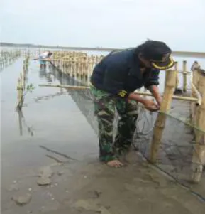 Gambar 3 Pemasangan APO dan sediment trap (Foto: Oni 2008). 