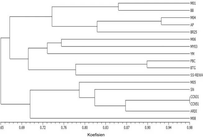 Gambar 2. Dendrogram kemiripan morfologi hasil analisis kluster dengan metode pengelompokan UPGMA berdasarkan 14 karakter morfologi