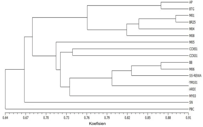 Gambar 3. Dendrogram kemiripan genetik hasil analisis kluster dengan metode pengelompokan UPGMA berdasarkan 46 pita DNA