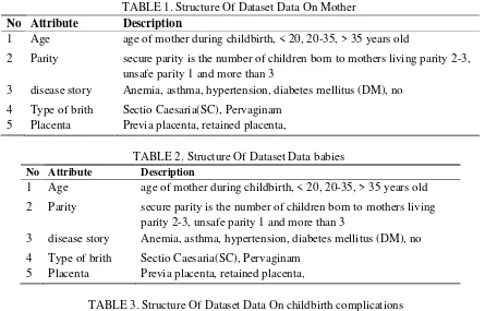 TABLE 1. Structure Of Dataset Data On Mother 