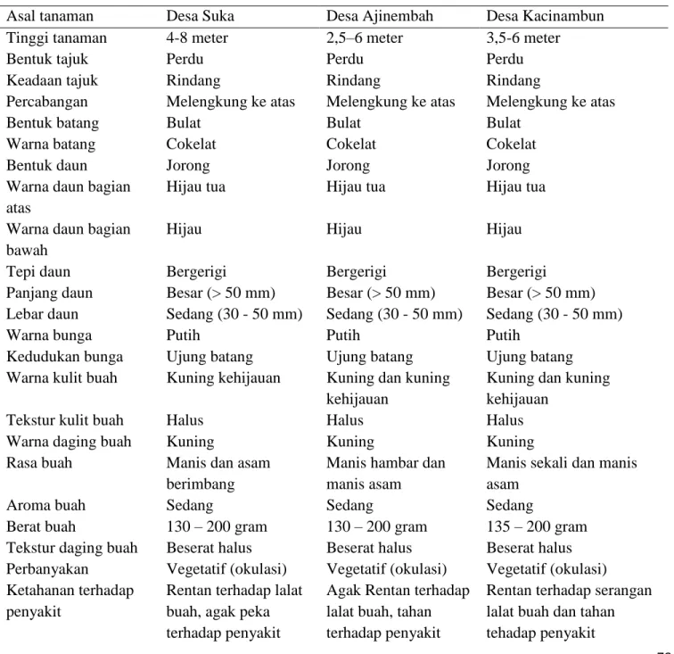 Tabel 2. Deskripsi jeruk siam di tiga desa di Kabupaten Karo 