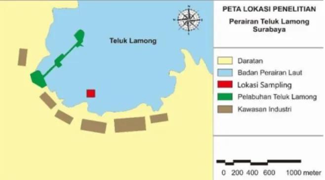 Gambar  1.  Peta  lokasi  sampling  P.  viridis  di  perairan  Teluk  Lamong  Surabaya