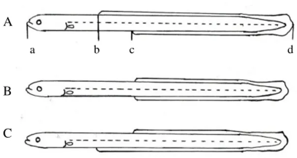 Gambar 3.  Ukuran Panjang Tubuh dan Bagian Tubuh  Glass  eel  (a-b  panjang        predorsal,  a-c  panjang  preanal,  a-d  panjang  total,  b-c  panjang  anodorsal)