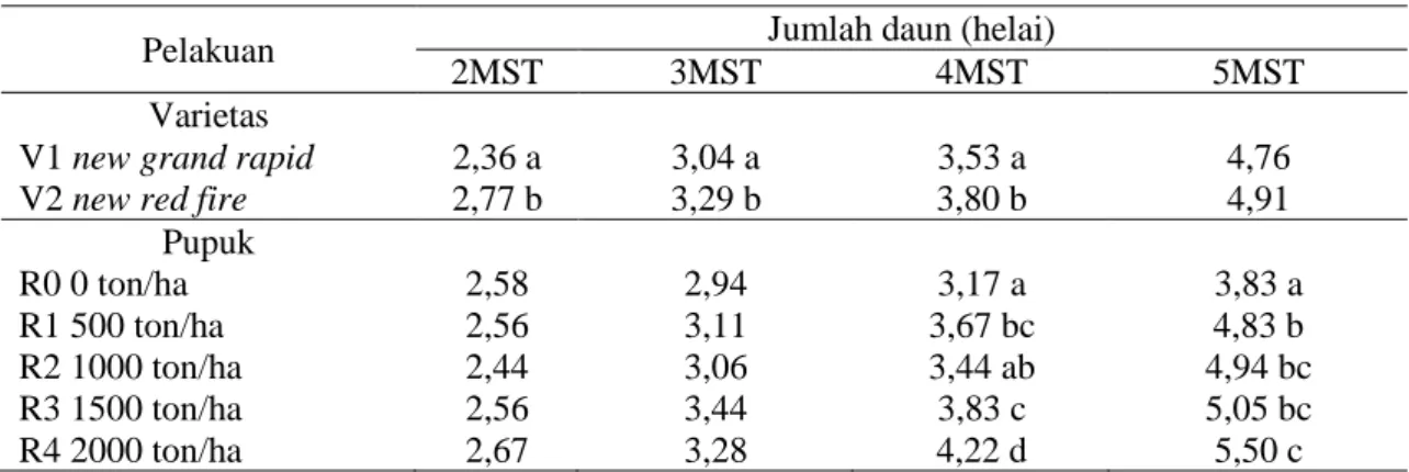 Tabel 3  Jumlah daun tanaman selada hasil uji lanjut DMRT 5% umur 2-5 MST 